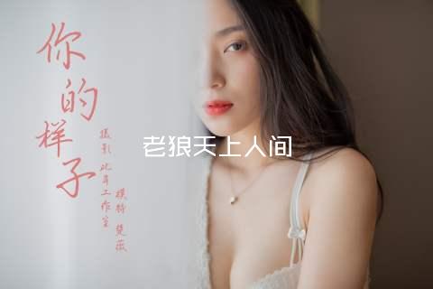 老狼天上人间